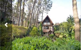 Cabañas del Bosque
